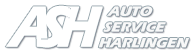 Auto Service Harlingen logo